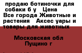 продаю ботиночки для собаки б/у › Цена ­ 600 - Все города Животные и растения » Аксесcуары и товары для животных   . Московская обл.,Пущино г.